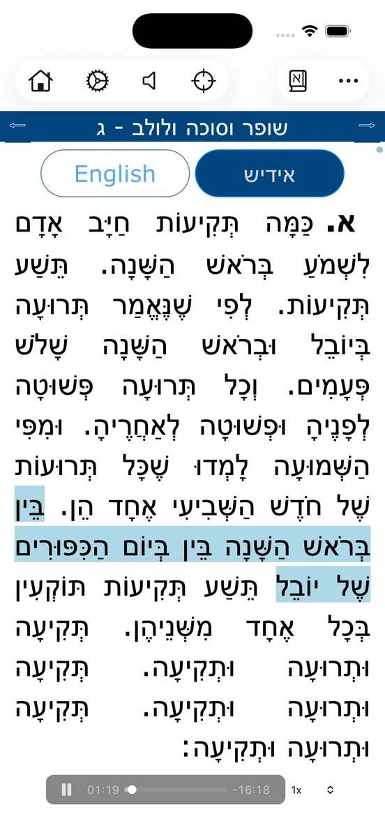 Rambam text with audio